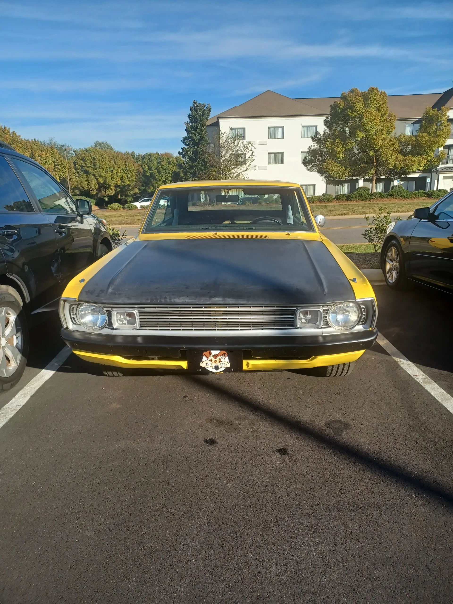 Dodge Coyote front view